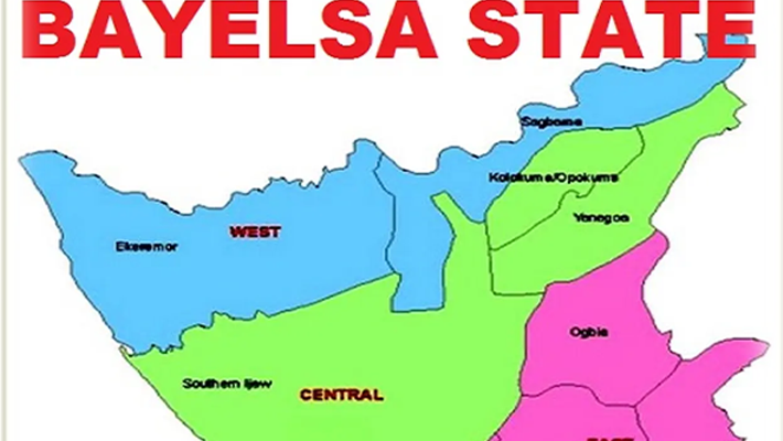 37-year-old data scientist joins Bayelsa governorship race